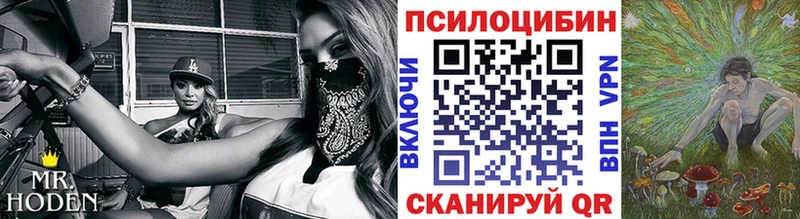 кракен как зайти  Сольцы  Галлюциногенные грибы GOLDEN TEACHER 